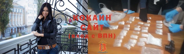 соль ск Арсеньев