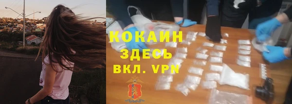 соль ск Арсеньев