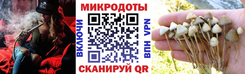 Псилоцибиновые грибы Magic Shrooms  ссылка на мегу зеркало  Новое Девяткино 